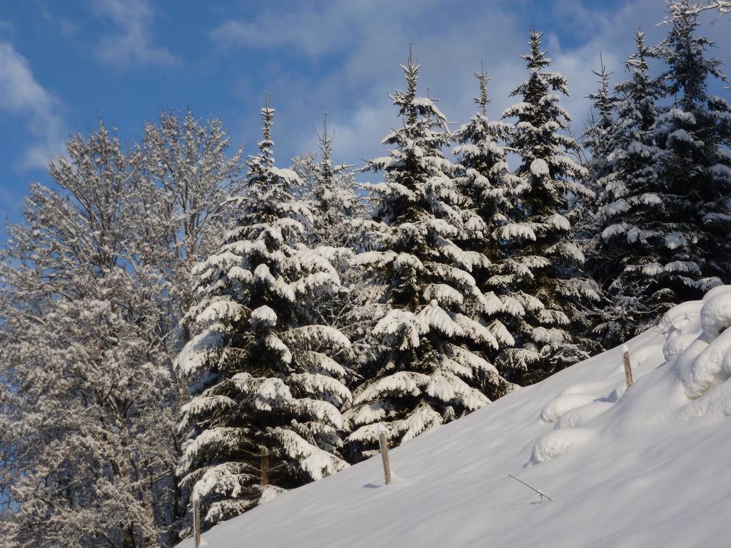 Appartement Ripper Saalbach-Hinterglemm Exterior photo